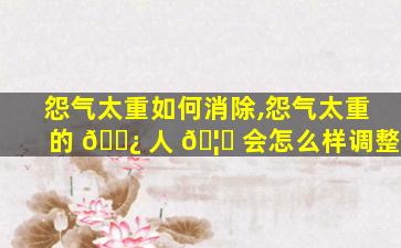 怨气太重如何消除,怨气太重的 🌿 人 🦅 会怎么样调整